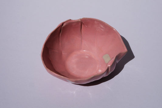 Pink Breakfast bowl