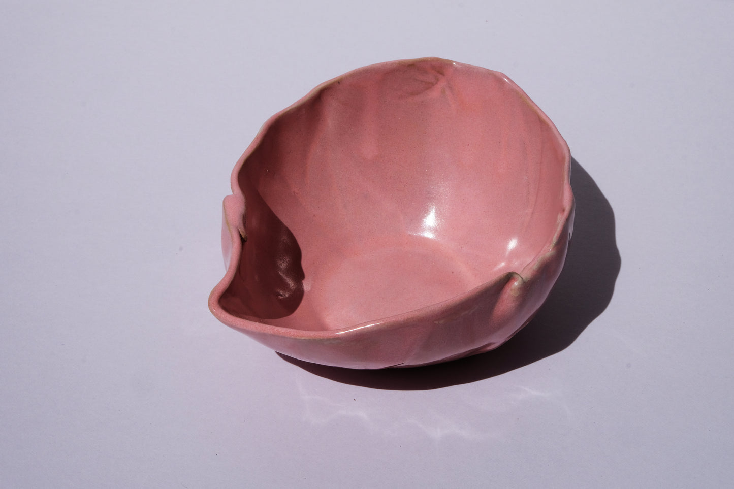 Pink Breakfast bowl